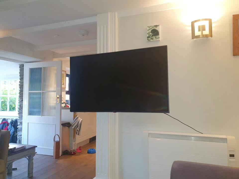TV and multimedia