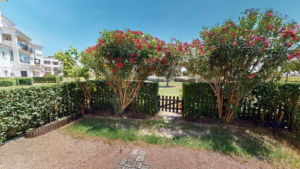 Patio, Garden, Garden view