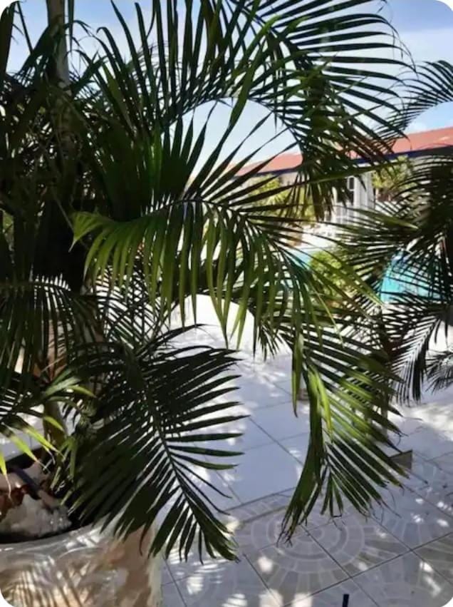 Day, Pool view, Swimming pool