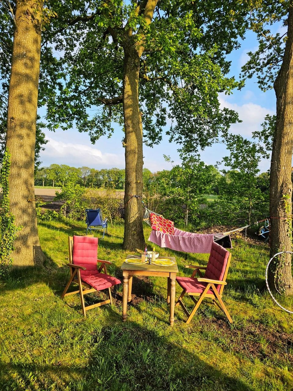natuur huisje Chalet in Drenthe (province)
