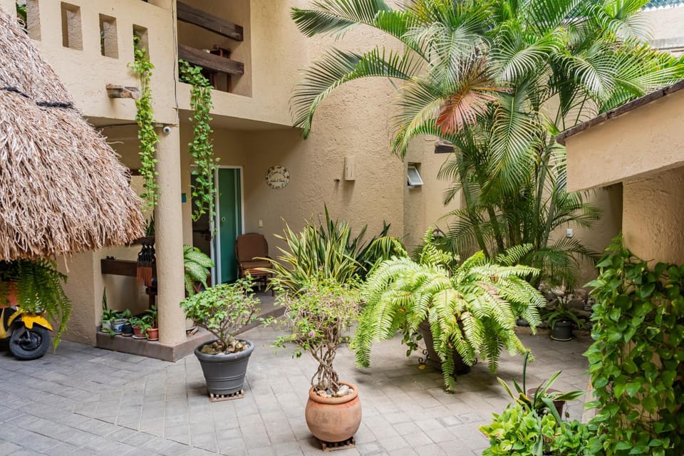 Property building, Day, Garden view