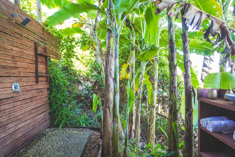 Shower, Day, Garden, Bathroom, Garden view