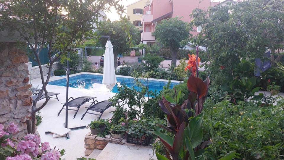 Patio, Spring, Day, Garden, Garden view, Pool view, Swimming pool, sunbed