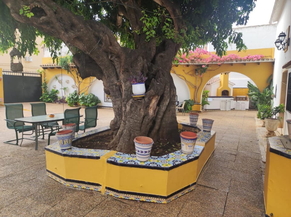 Patio