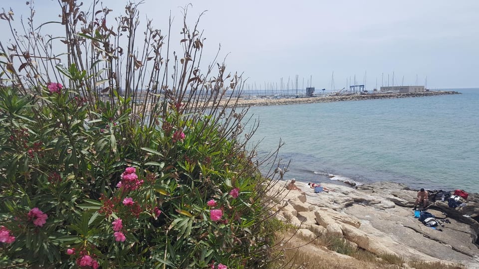 Sea view