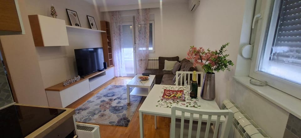 Miletić Lux Apartment in Belgrade