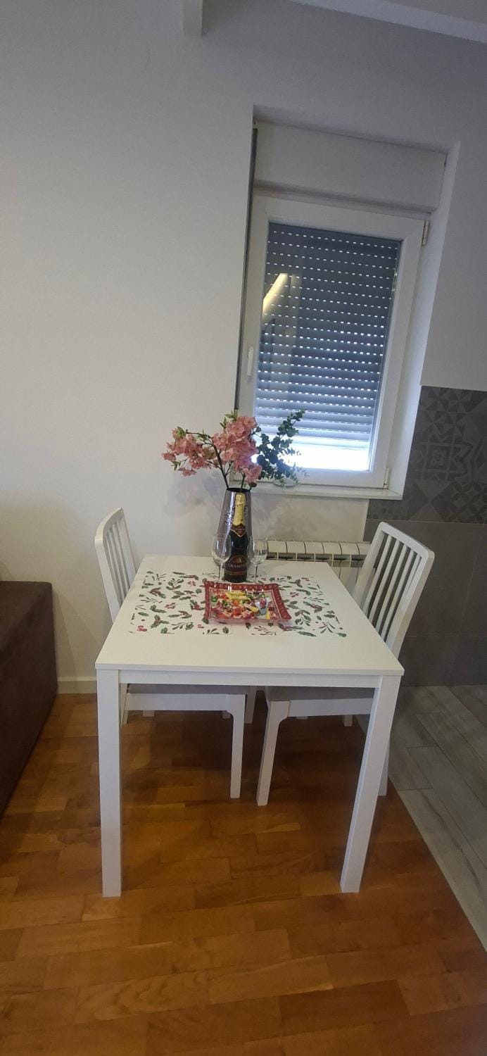 Miletić Lux Apartment in Belgrade