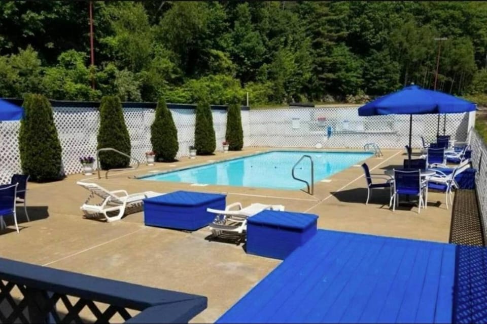 Day, Pool view, Swimming pool