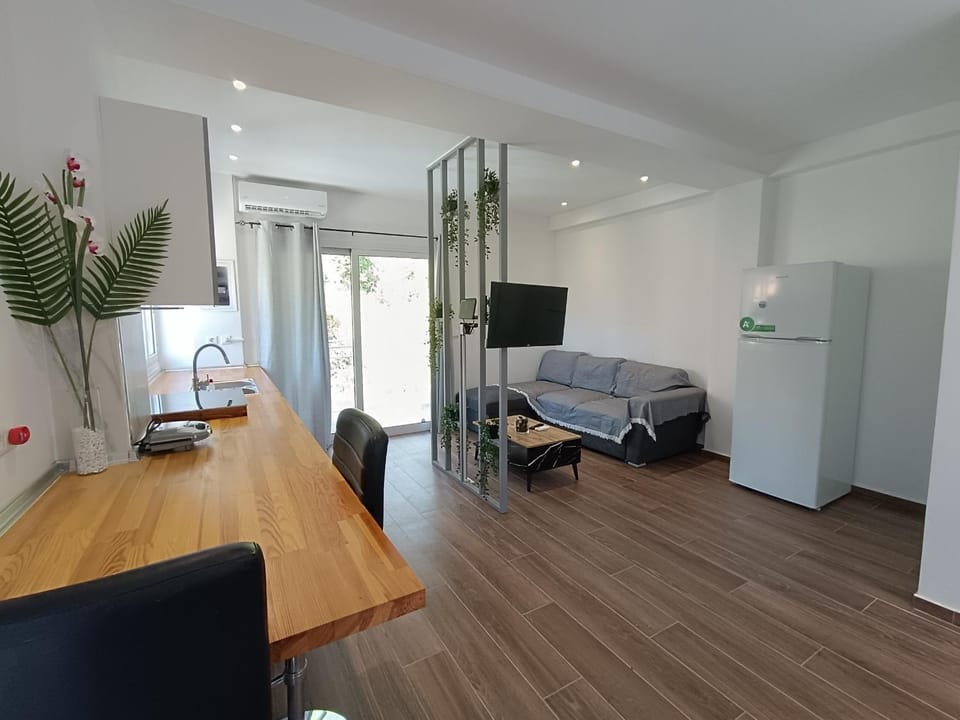 TV and multimedia, Kitchen or kitchenette, Living room, Photo of the whole room, Seating area, Dining area