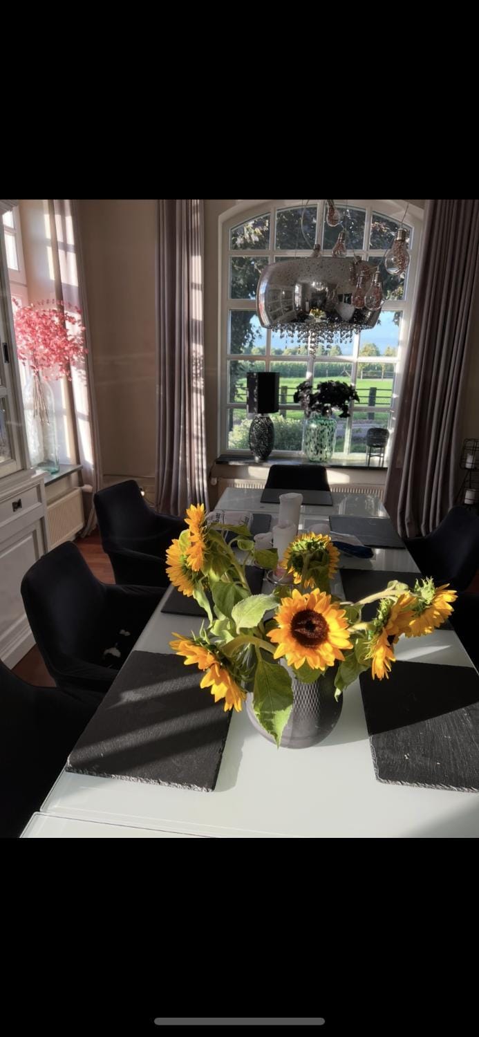 Seating area, Dining area, Food
