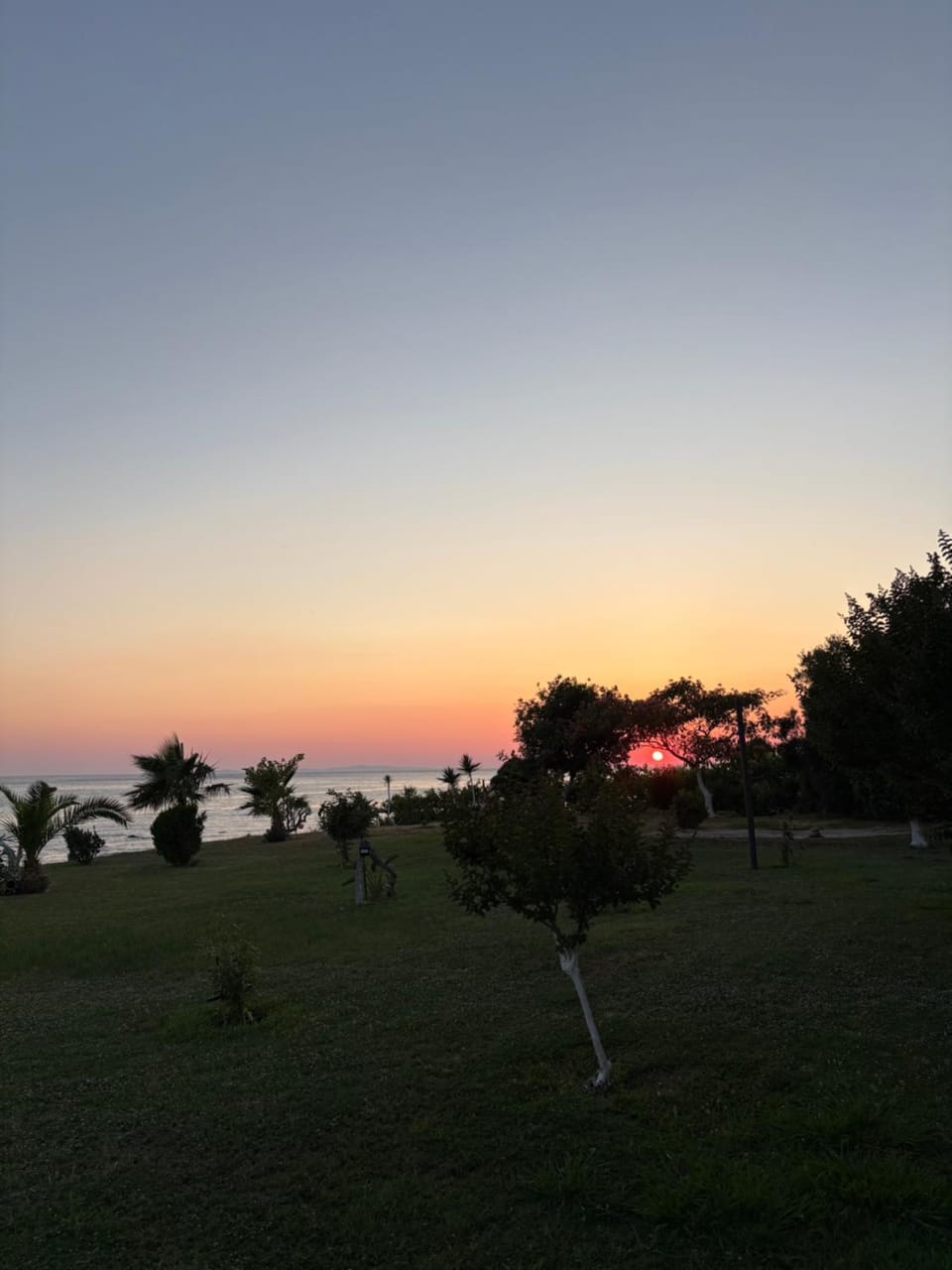 Garden, Beach, Garden view, Sea view