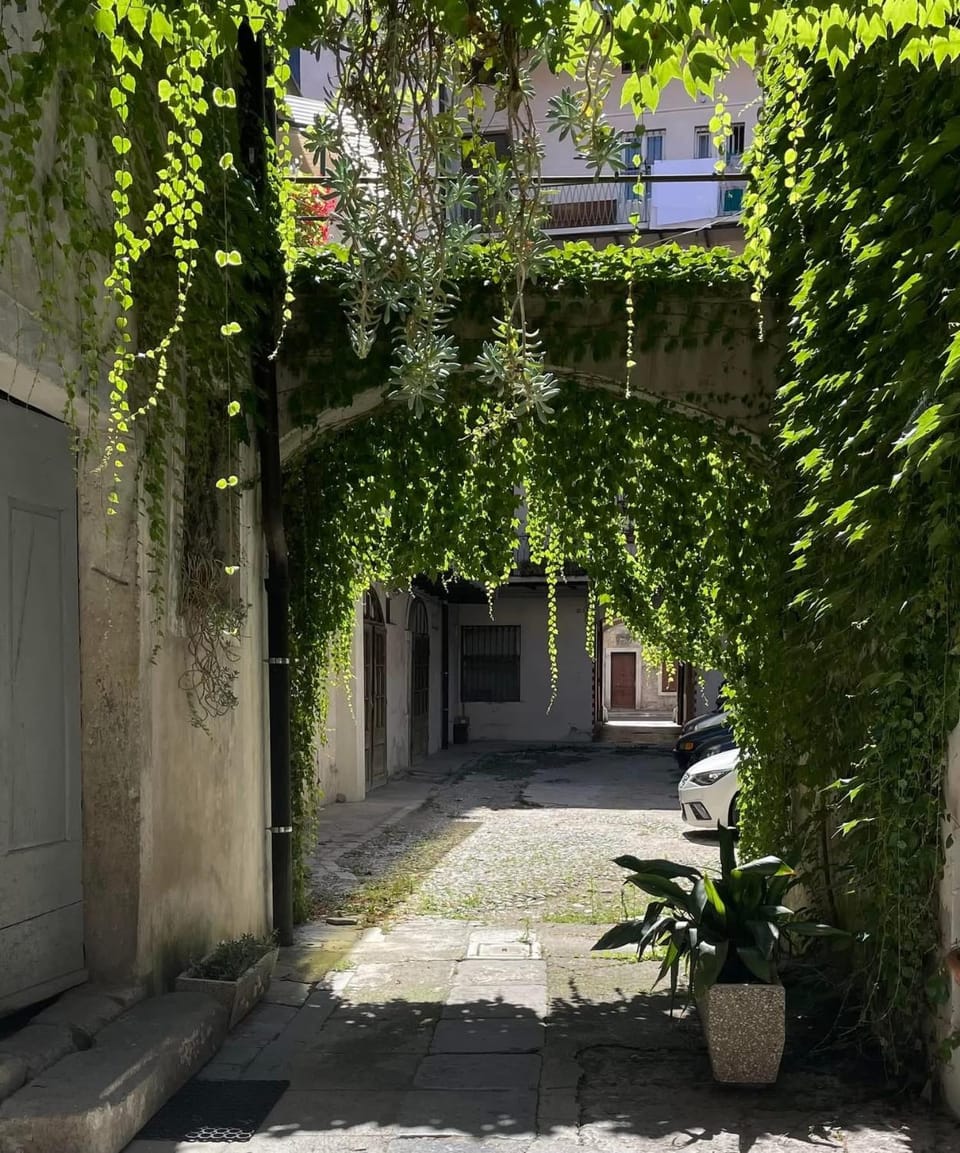 Inner courtyard view