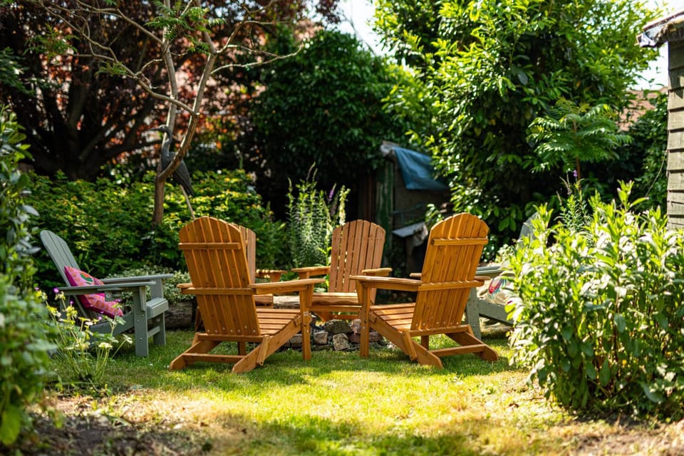 Spring, Garden, Garden view, sunbed