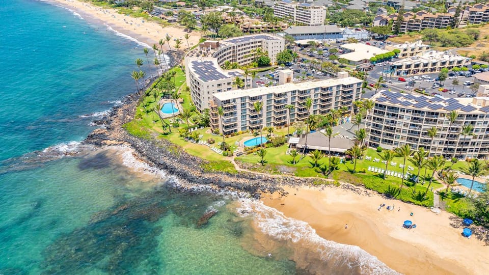 KN203 Oceanfront 2Bd 2Ba Sunset Suite in South Maui House in Kihei