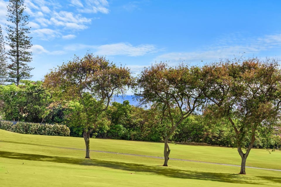 Kapalua Golf Villa 18P 56 Apartment in Kapalua