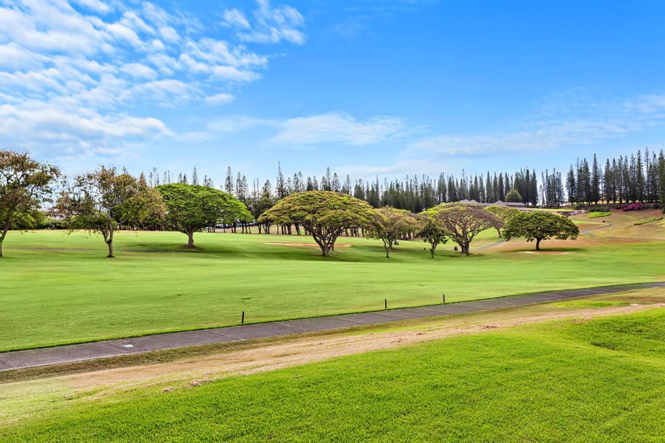 Kapalua Golf Villa 18P 56 Apartment in Kapalua