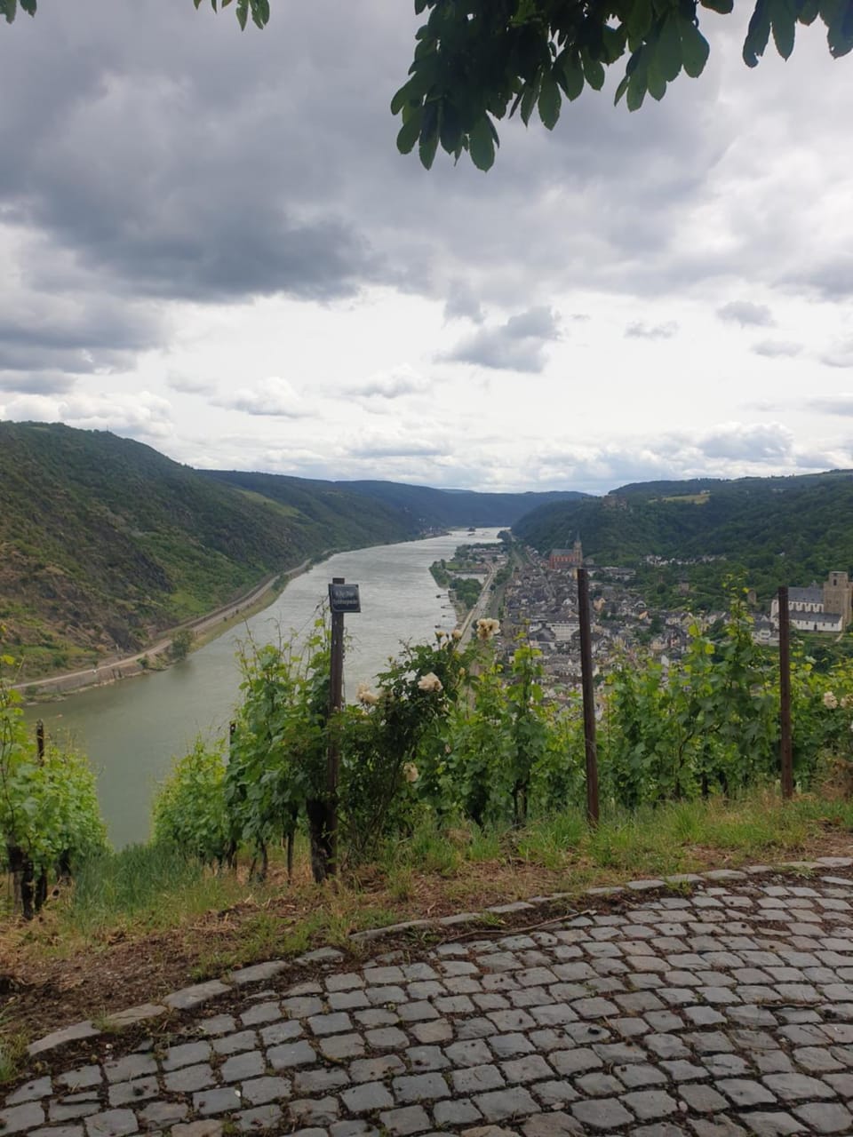 Traumpfade II Apartment in Boppard