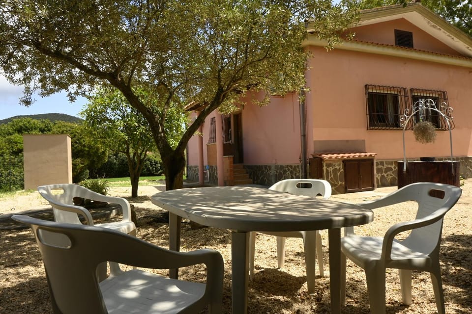 Garden, Garden view