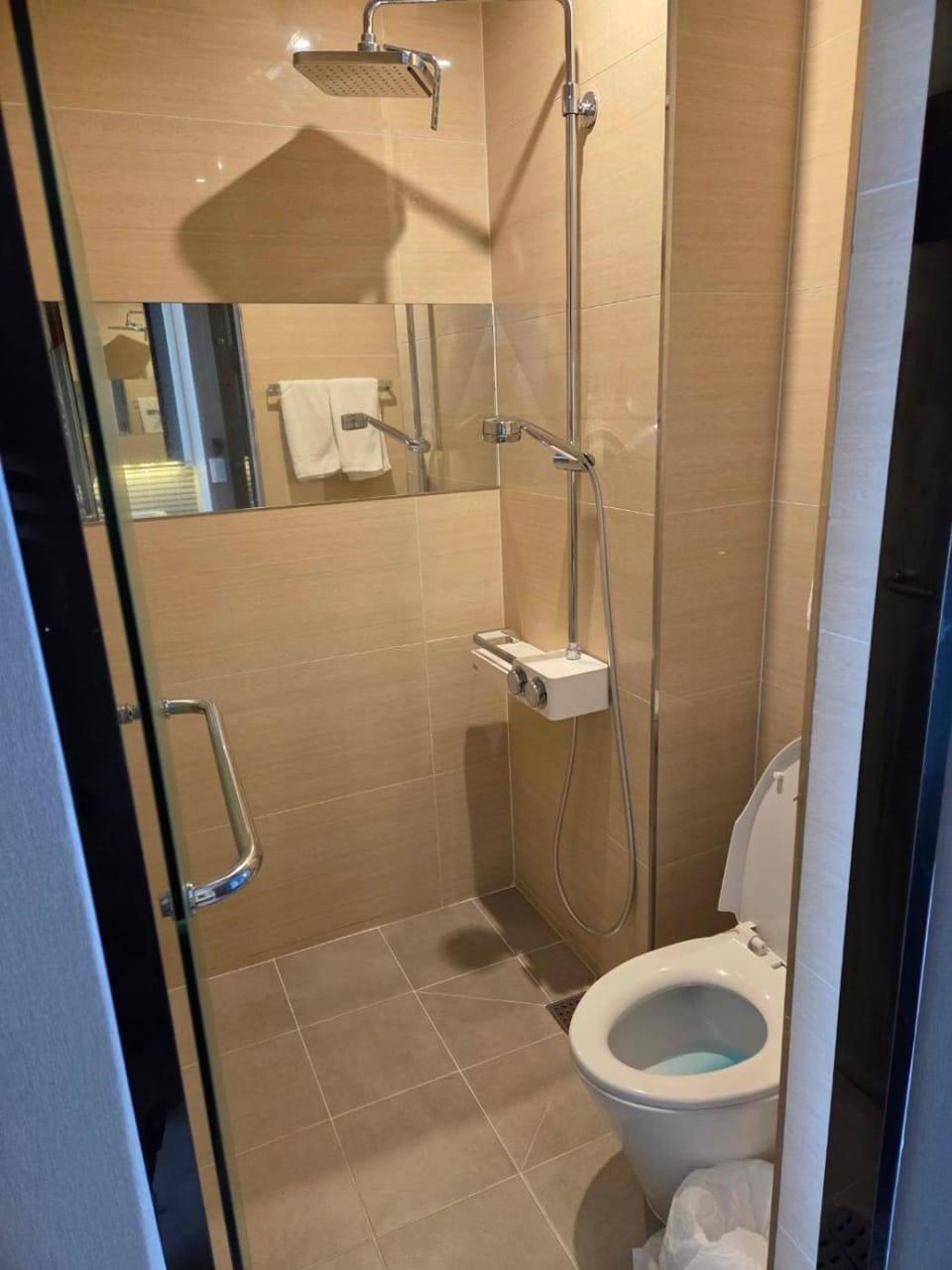 Shower, Toilet, Bathroom