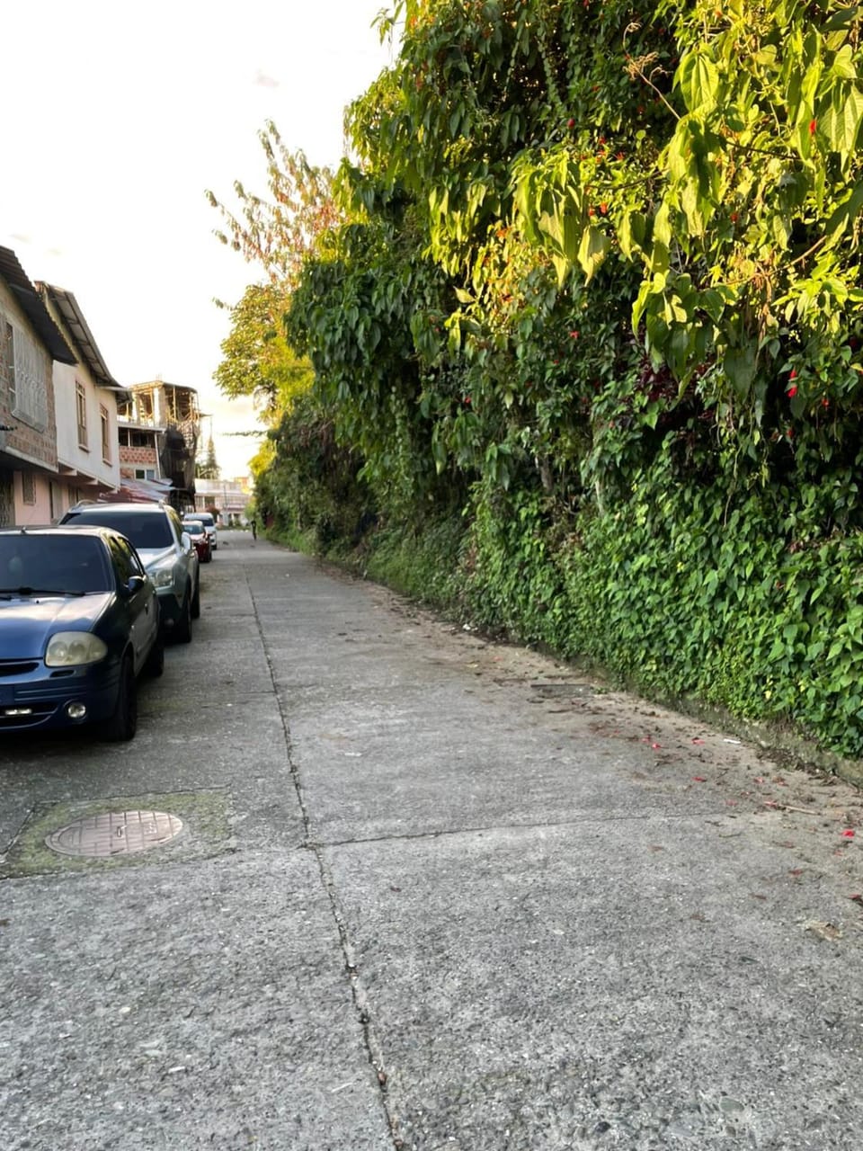 Off site, View (from property/room), Street view