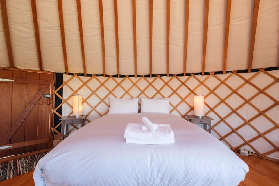 Awaawa Yurts - Tāne House in Auckland Region