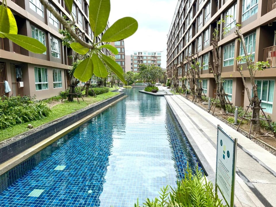 Pool view, Swimming pool