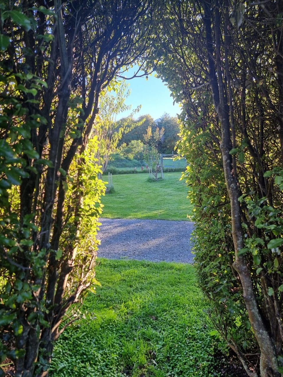 Natural landscape, Garden