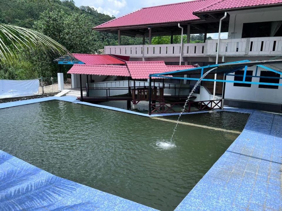 Day, Pool view, Swimming pool
