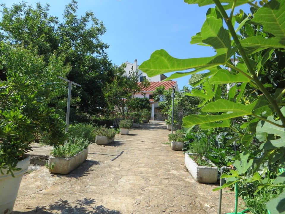 Property building, Garden