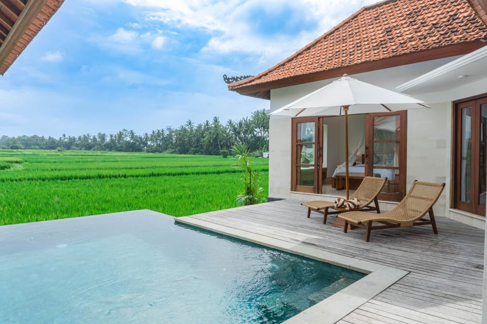 Pool view, Swimming pool
