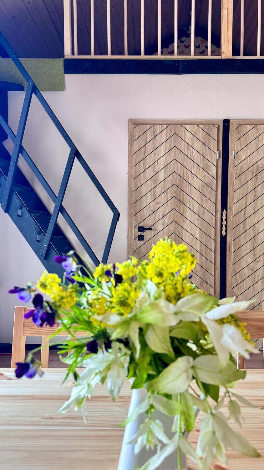 Domcio Paluch House in Lithuania