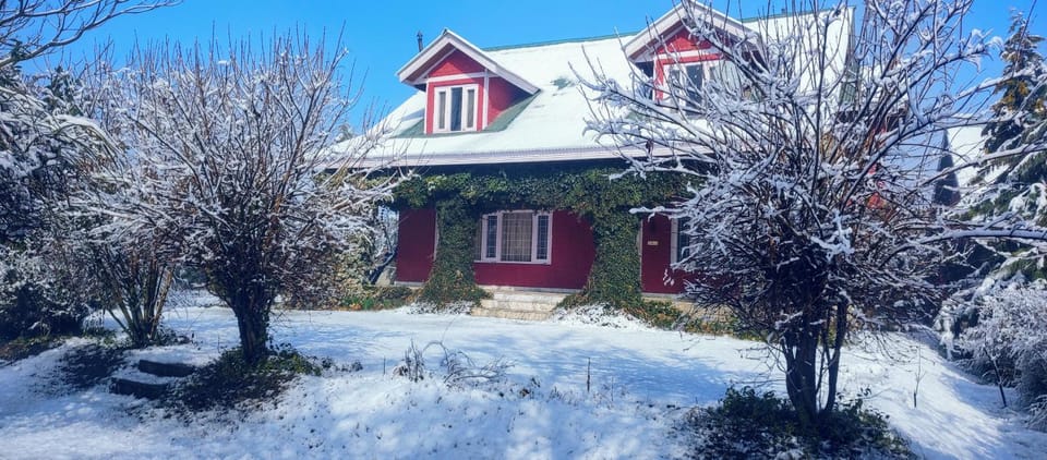 Winter