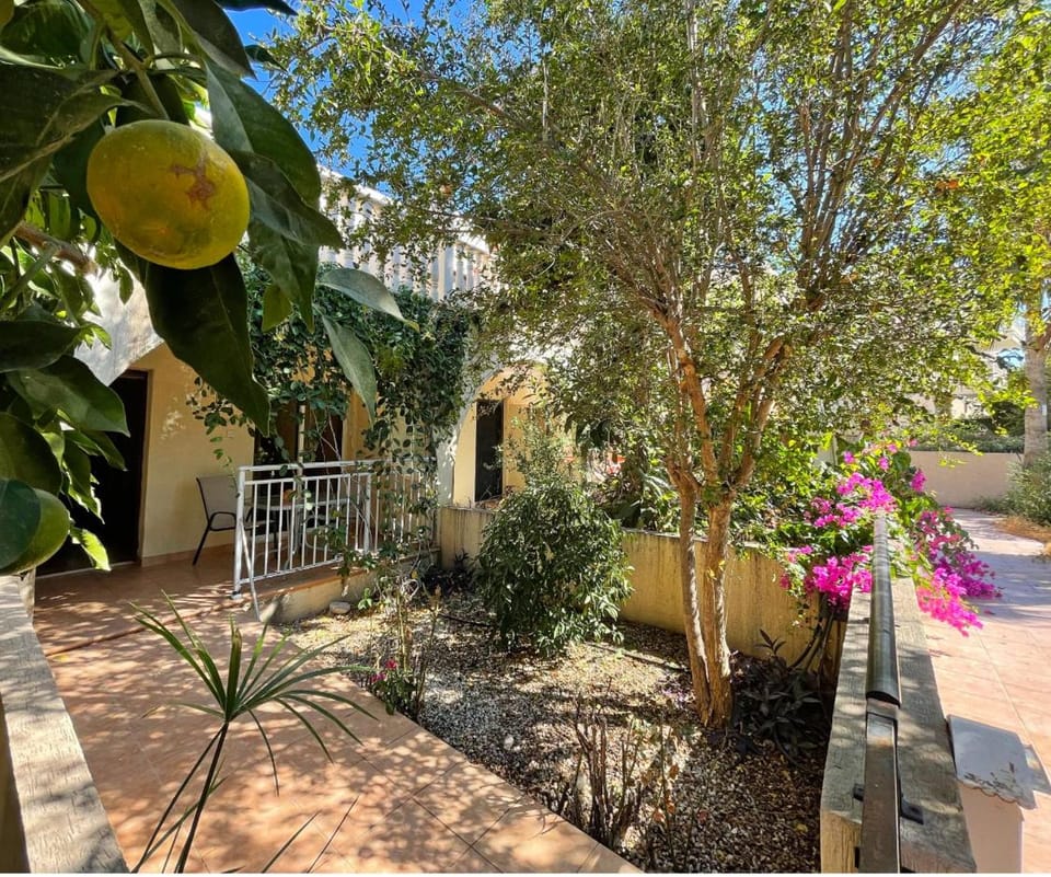 Property building, Spring, Day, Garden, Garden view
