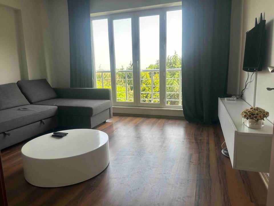 Sabina gokcene 5 dk Apartment in Istanbul