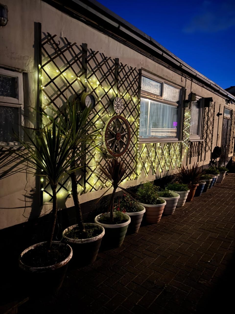 Night, Garden, Garden view