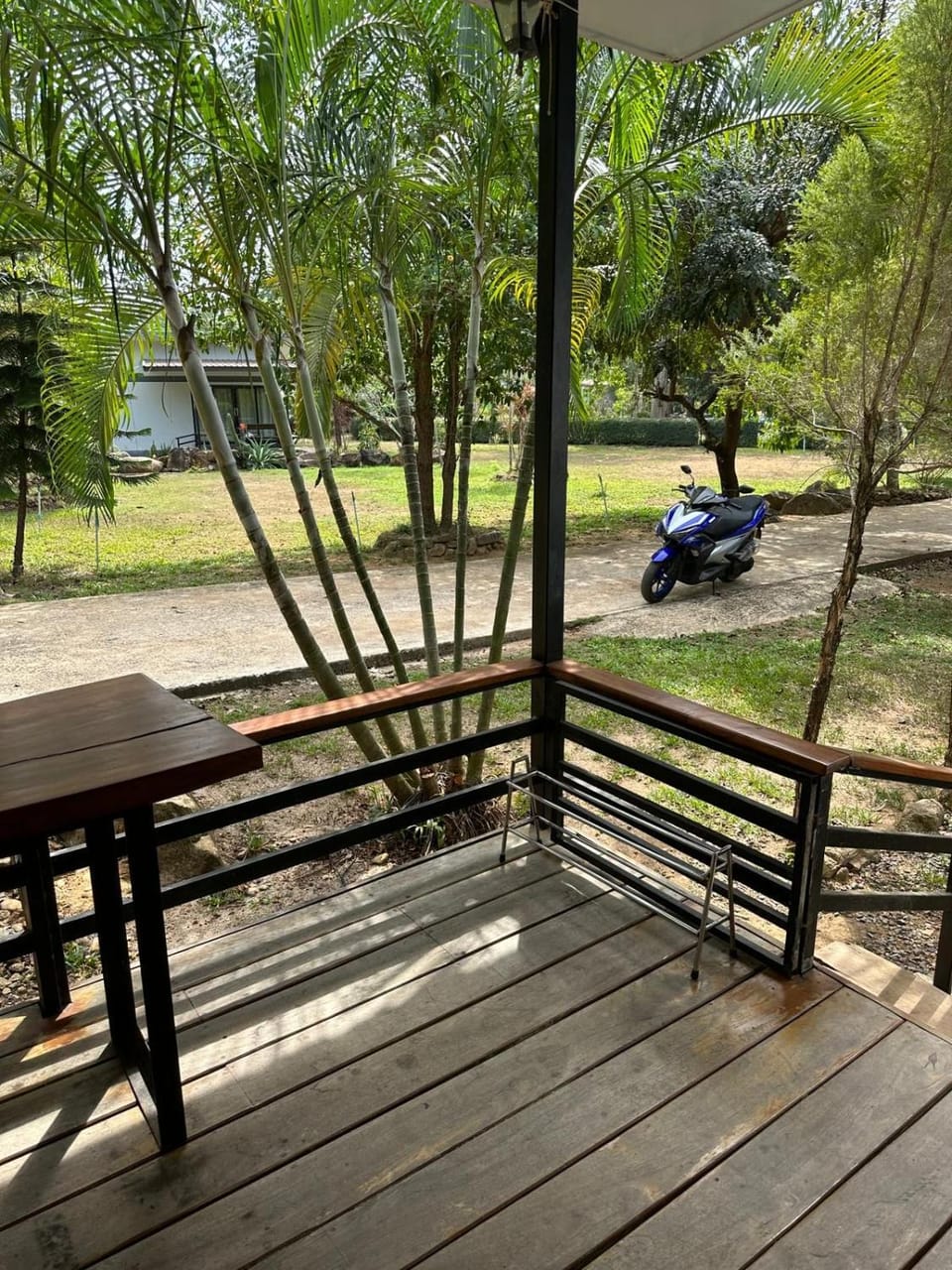 Natural landscape, Garden, Garden view