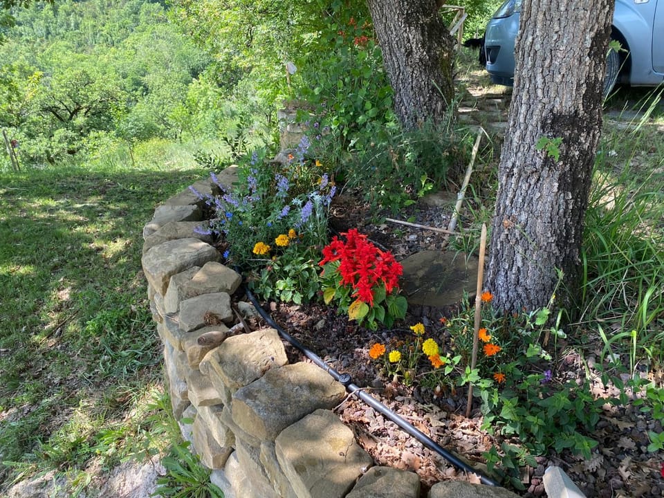Natural landscape, Garden, Garden view