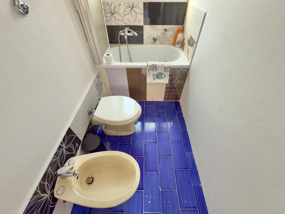 Shower, Toilet, Bathroom, bidet