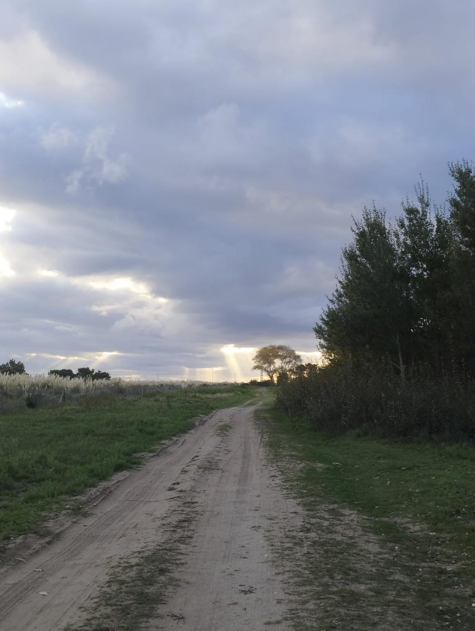Natural landscape
