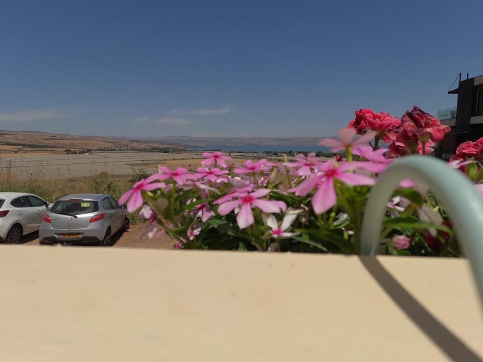 Spring, Natural landscape, Parking