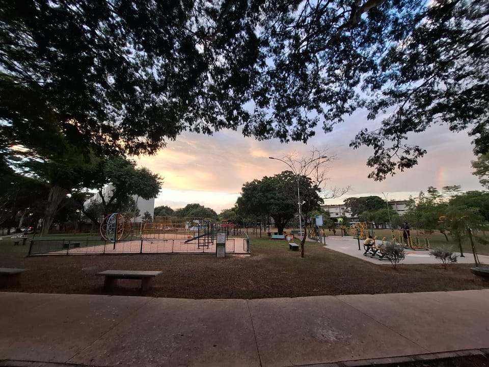 Day, Natural landscape, Garden, Garden view, Sunset