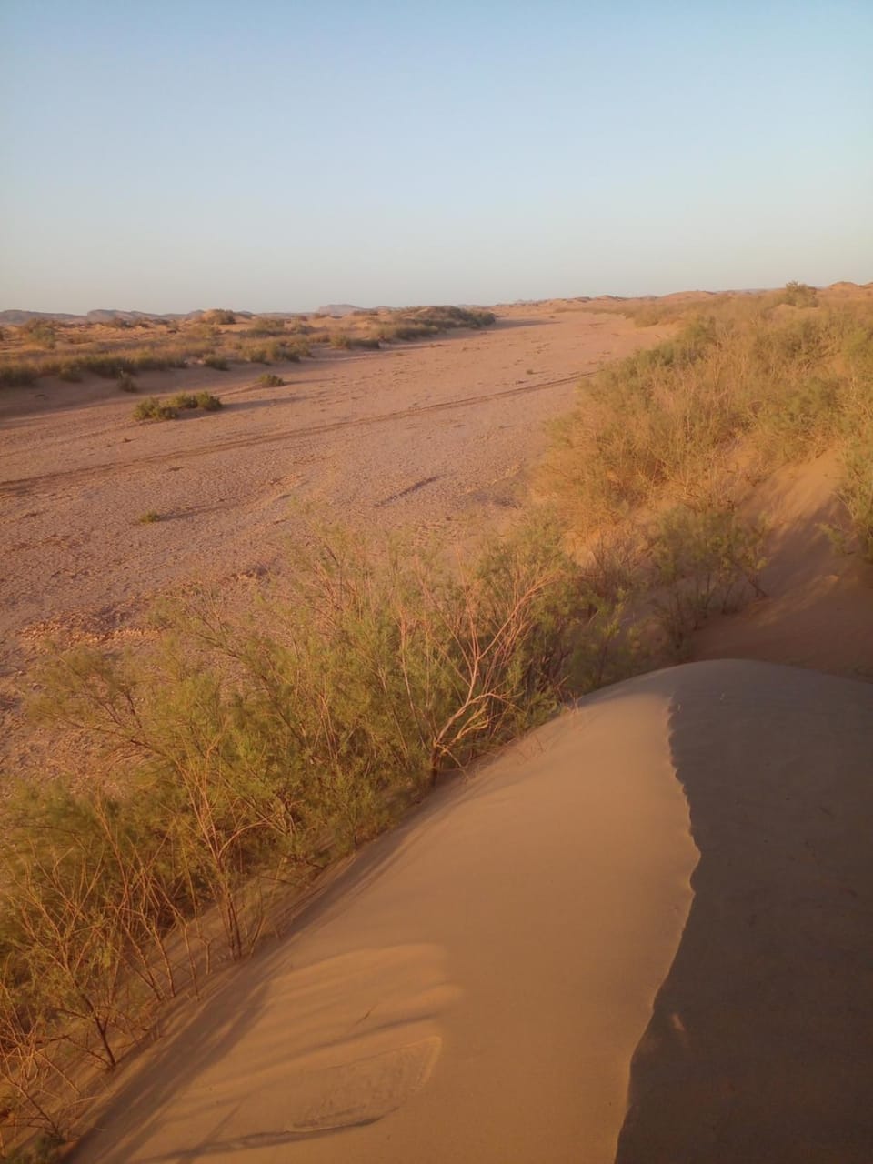 قصر الركابي Campground/ 
RV Resort in Morocco