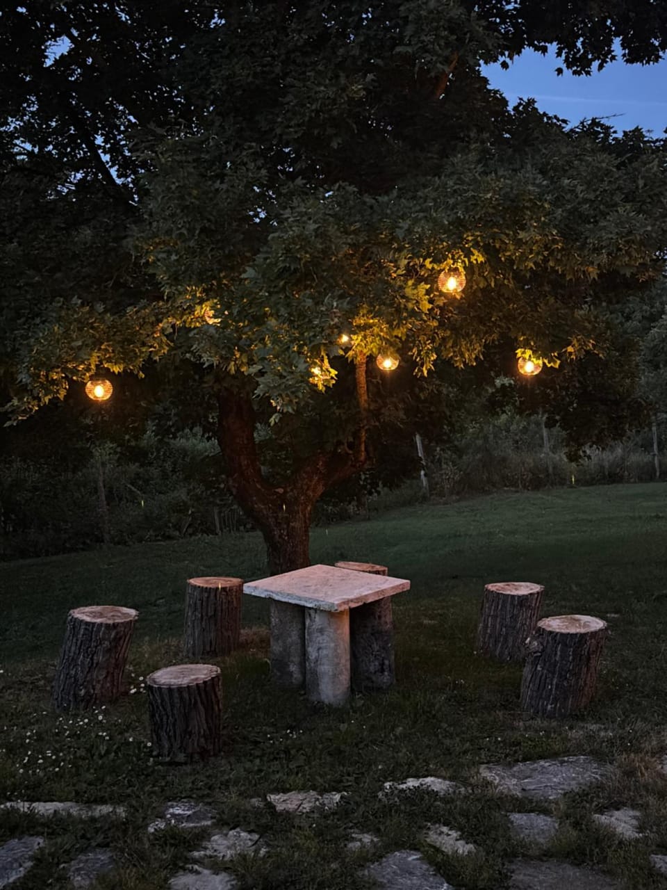 Night, Natural landscape, Garden, Garden view