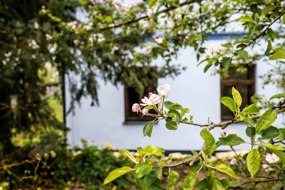 Property building, Garden view