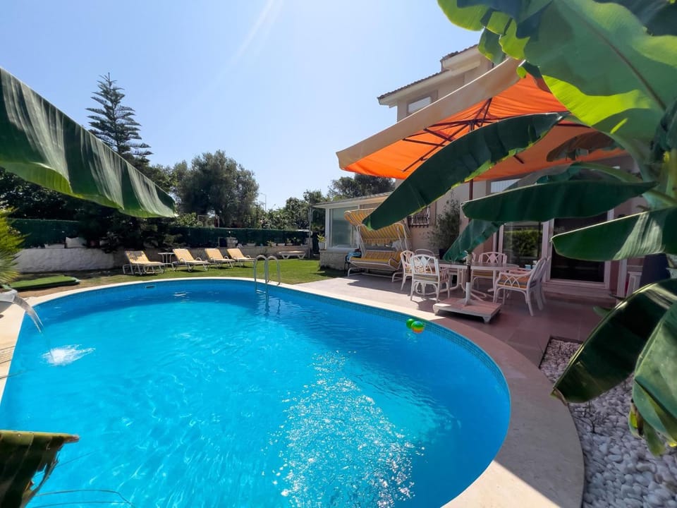 Garden, Garden view, Pool view, Swimming pool, Swimming pool, sunbed