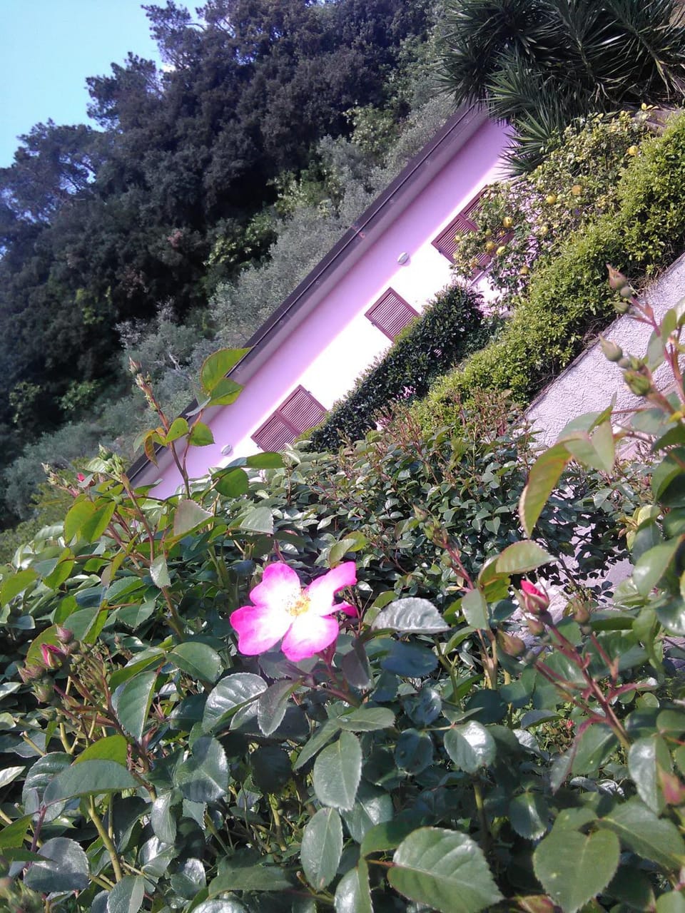 Villino Isò Bed and Breakfast in Province of Massa and Carrara