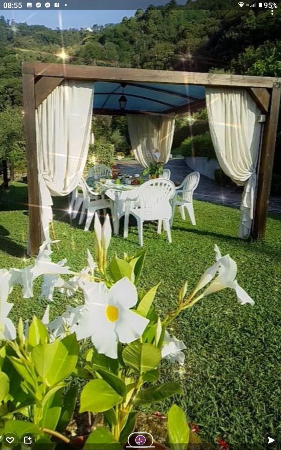 Villino Isò Bed and Breakfast in Province of Massa and Carrara