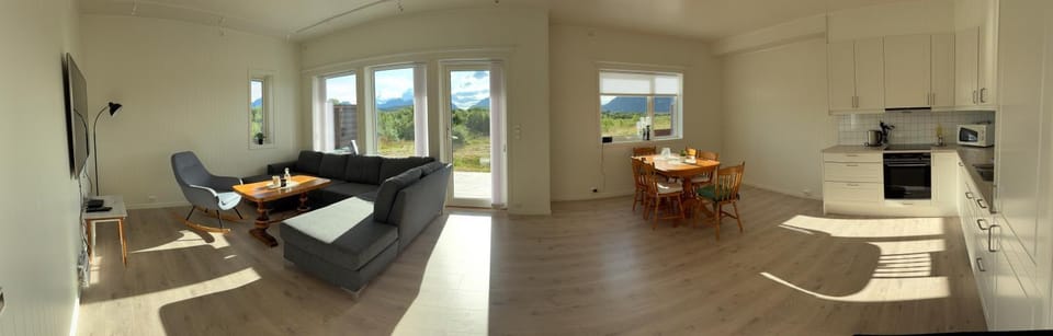 Living room, kitchen