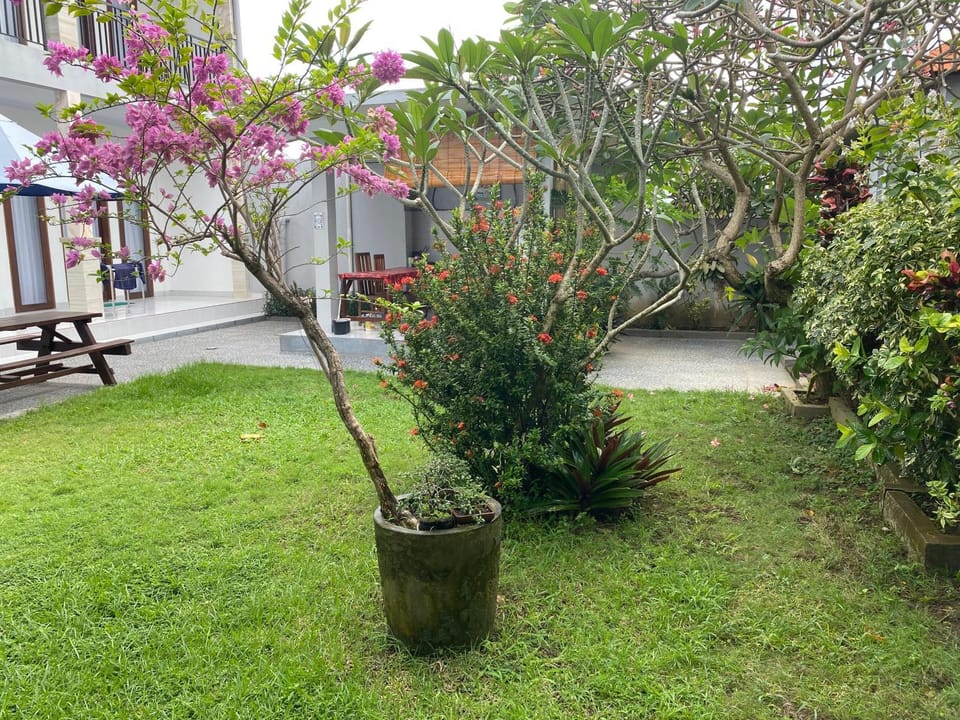 Divayana homestay Apartment in North Kuta