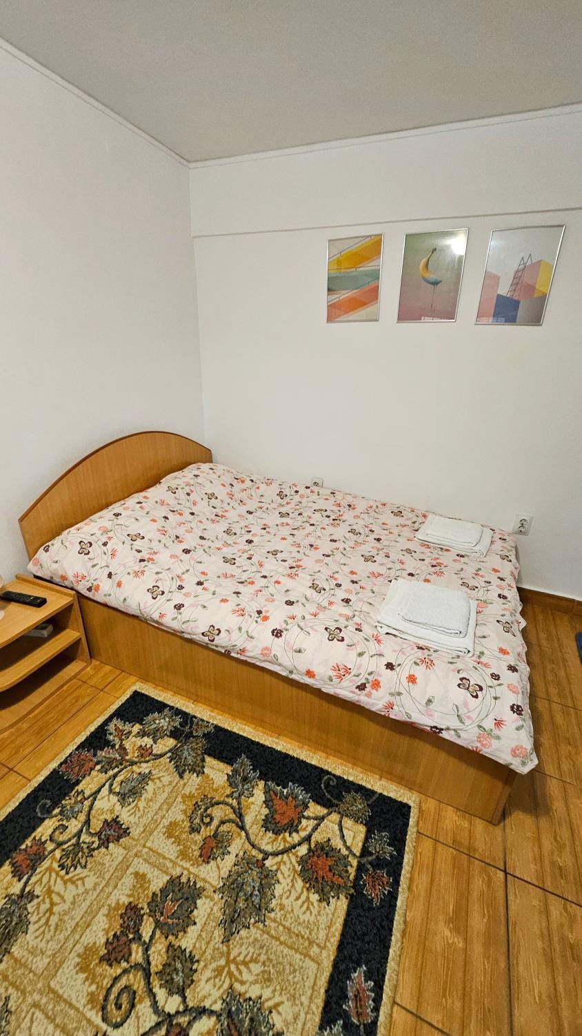 Ultracentral Lozonschi Apartament Parter Apartment in Moldova